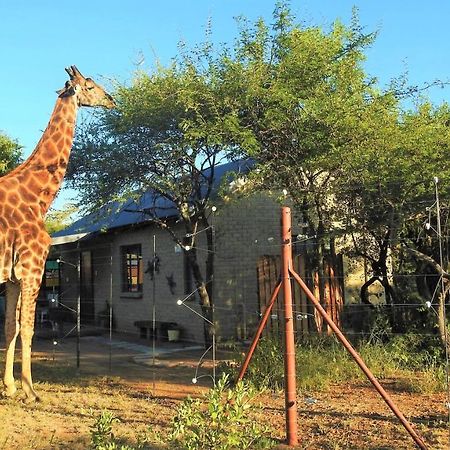 Marulani Bush Lodge Klipdrift Dış mekan fotoğraf