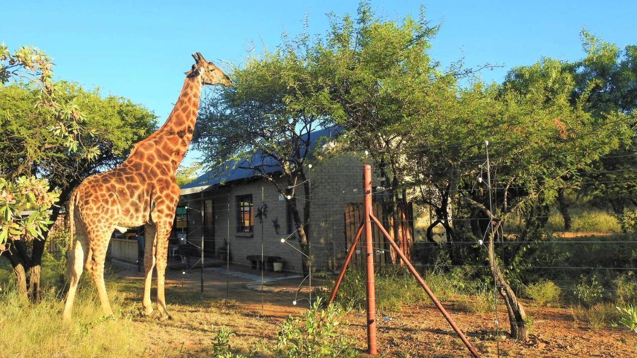 Marulani Bush Lodge Klipdrift Dış mekan fotoğraf